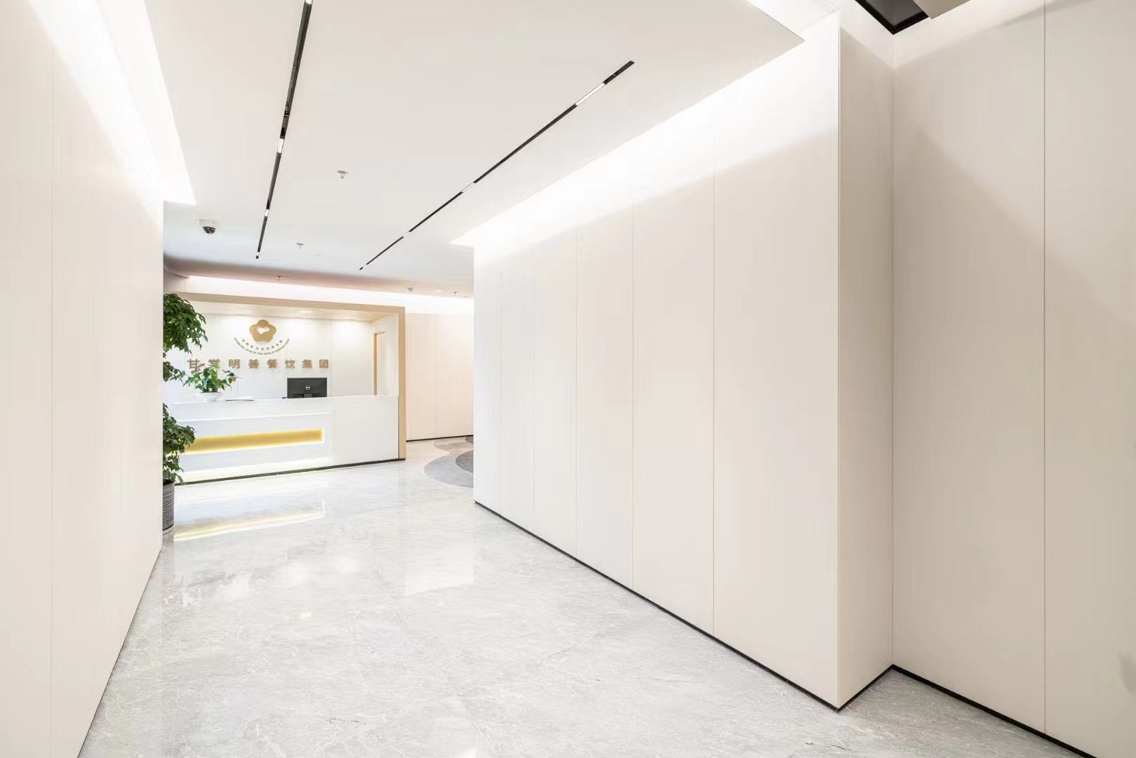 深入剖析抗倍特板：優(yōu)勢與局限并存的裝飾建材